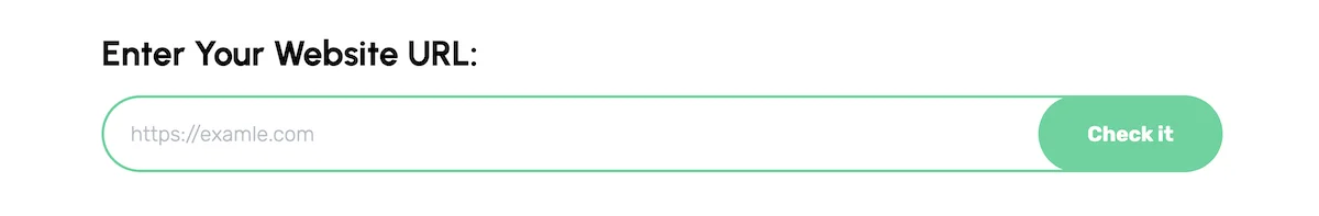 Enter Your Website URL for Responsive Website Test